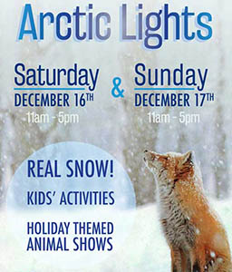 America's Teaching Zoo: Arctic Lights - December 16 & 17 America's Teaching Zoo: Arctic Lights - December 16 & 17