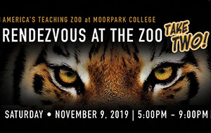 Rendezvous at the Zoo,Take Two Rendezvous at the Zoo,Take Two