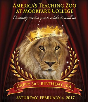 Happy 3rd Birthday Ira image of flyer for Ira's 3rd Birthday Celebration