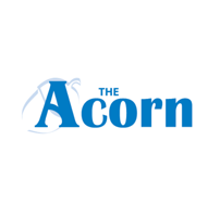 The Acorn word mark Logo