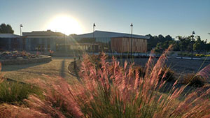VCCCD Board of Trustees Passes Resolution on Climate Change and Sustainability photo of sunrise on college campus