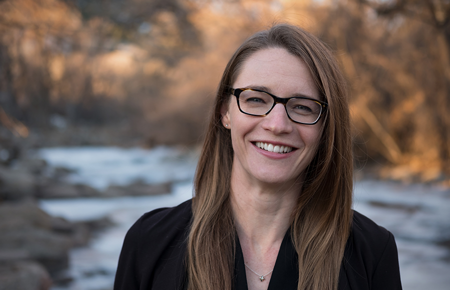 Dr. Alice L Baumgartner, author