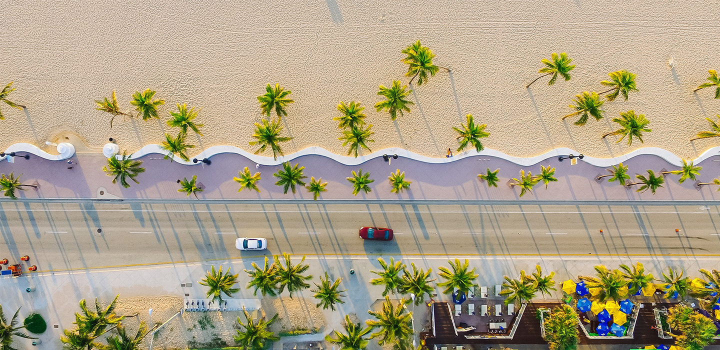 Beach sidewalk with palm trees lining the sides of the street.