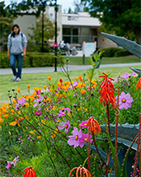 Ventura College