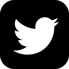 Twitter app icon