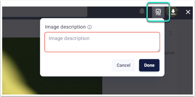 Messages, Image Alt-Text Options