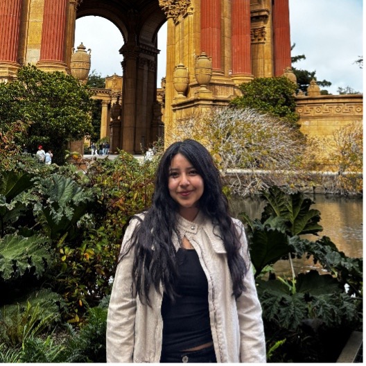 MC Student Elections candidate