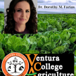Image of Crops with Dorothy M Farias profile picture and VC Ag Logo