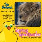 Spring Spectacular this weekend. photo of Lion