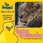 Spring Spectacular this weekend. photo of Lion Spring Spectacular this weekend. photo of Lion