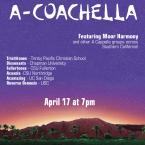 A-Coachella Purple Sky Background