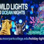 Wild Lights & Ocean Nights. images of animals and se Wild Lights & Ocean Nights. images of animals and se