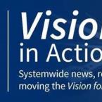 vision in action