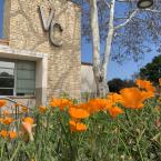 Outside the Ventura College Admin building, overlooking california poppies.