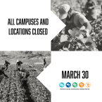 Farmworkers harvesting crops in a field, shown in black and white photography.