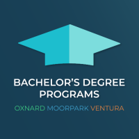 Bachelor's Degree Programs