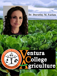 Image of Crops with Dorothy M Farias profile picture and VC Ag Logo