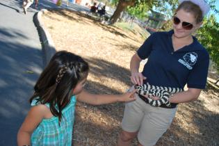moorpark college zoo student holds snake