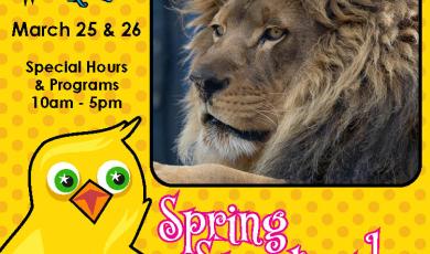 Spring Spectacular this weekend. photo of Lion