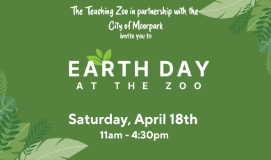 green background with light and dark green leaves