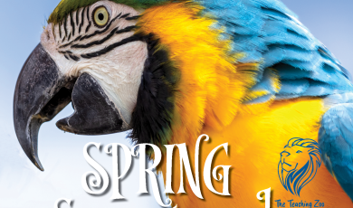 Spring Spectacular with colorful bird