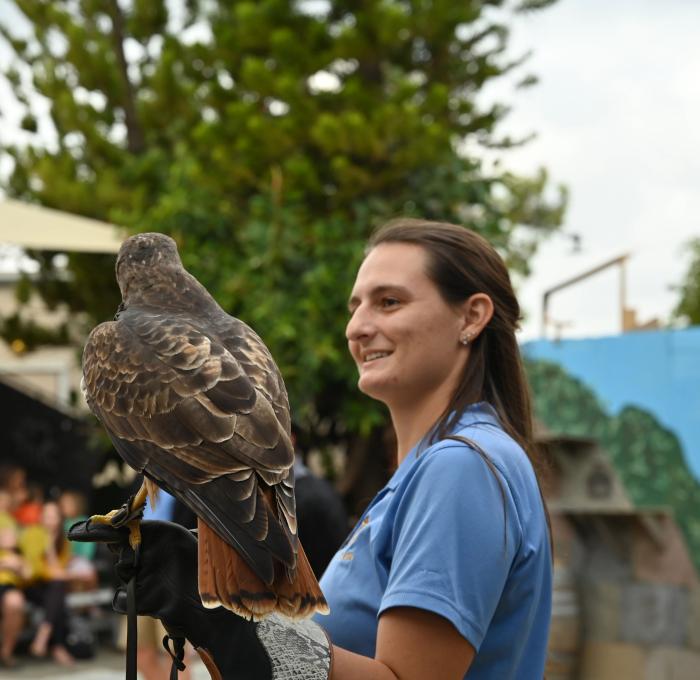 Female Student from America's Teaching Zoo at Moorpark College showing a Hawk to a audience. 