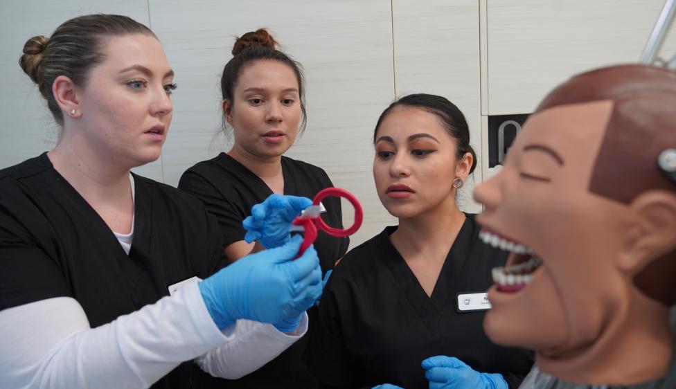 Oxnard College Dental Program Students