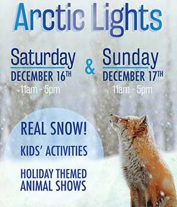 event-mc-arctic-lights-dec-2017.jpg event-mc-arctic-lights-dec-2017.jpg
