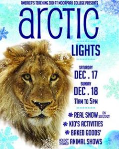 event-mc-eatm-arctic-lights-2016_1.jpg event-mc-eatm-arctic-lights-2016_1.jpg