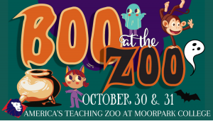 Boo at the Zoo