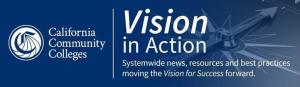 vision in action