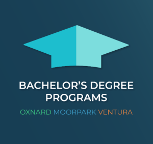 Bachelor's Degree Programs